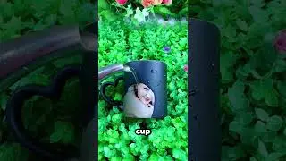 Watch The Secret Image Appear On This Magic Cup!