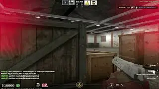 #niko peek