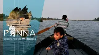 Panna Tiger Reserve - Experience the Wilderness | (Cinematic Travel film)