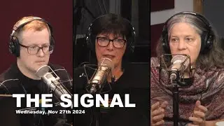 The Signal l Protecting children and vulnerable people in N.L.