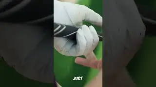 30 Seconds For 30+ More Driving Yards (Master this ONE Simple Golf Secret!)#golfpractice #golfswing