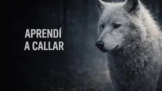 Reflexión del Lobo | El Día que Dejaste de Esperar que Alguien te Entendiera