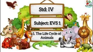 1. The Life Cycle of Animals | Lesson Explanation | E.V.S 1 | STD 4 | @kidzocean