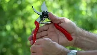 kertmotor.hu Metsz&eacute;s &oacute;ra (8): A forg&oacute;nyelű metszőoll&oacute;