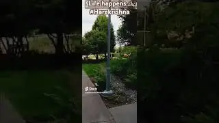 life walk#naturewalk #naturewalking #seattle #usa #washington #walk #walktowork #commute #funnymusic