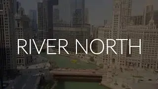403 W Wabash Ave Unit 17C Chicago, IL