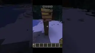 This Honey Dripping from a Bee Nest Looks TOO Real 🍯🐝 | Minecraft