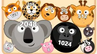MERGE ANIMAL 3D - ASMR Gameplay (Animal Evolution, Level Up Jelly Balls 2048)