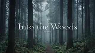Into the Woods - Misty Forest Ambience and Music for Dreaming and Adventure