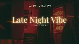 PAL PAL x MALAYA // FLIPSYD // LATE NIGHT VIBE