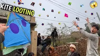 😱*Kite looting* || Ajj to end ho giya bhuth sari kites loot li😍 || Basant mahol🥵 || Live kite caught