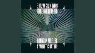 Celestial Harmonics