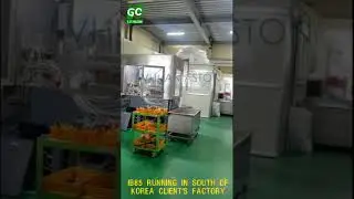 Discover Precision in IB85 Injection Blow Molding Machine with Lvhuan Machinery!