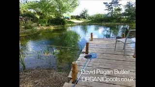 How to make an Organic/Natural Pool in the woods