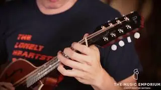 Pava A5 Satin @ The Music Emporium