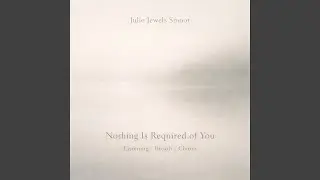 The Sound Will Not Follow You