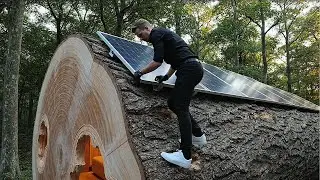 No Talking ASMR &mdash; Building a Secret Solar House Inside a Giant Tree | Off Grid Survival