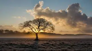 New Uplifting Short Electronic Trap Music 2020(GLowBrain-If It's Silent)
