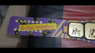 Razor Ramon & Ric Flair Signature Series Championship Replica Title Belts!