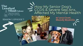 How My Senior Dog's CCDS & Severe Sep Anx, Affected My Mental Health