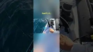 Jetski Fishing Live Bait Setup