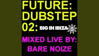 Make Some Fucking Noize