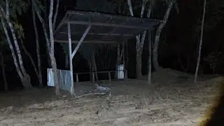 HAUNTED ROAD