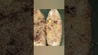 #black #pomfretrecipe #fry #काळा #पापलेट #फ्राय #malvani #recipe #fish