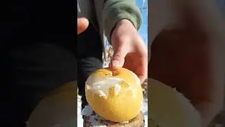 Yummy fruit 😋 #fruit #farming #viralvideo #nature #icc #cashewfruit #2025 #news