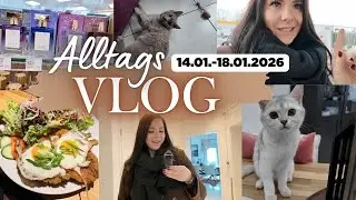 Alltags Vlog Januar 2026 | Marie muss unters Messer 😢 AHEAD Haul | schikitasplace