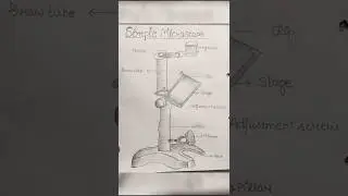 Simple Microscope diagram #bsc #2025-26 #zoology practical #viral #trending #shortfeed #trending