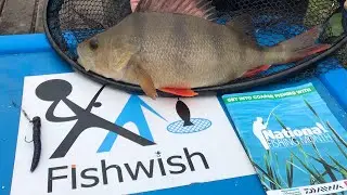 Fishwish Coaching & Education - 10 years of Outdoor Learning #shorts