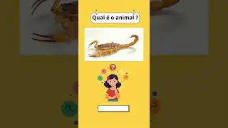 &ldquo;Desafio animal: Qual &eacute; o nome desse bicho? 🦥🦩🐼&rdquo; #quizdeanimais #desafioanimal  #animals #quiz