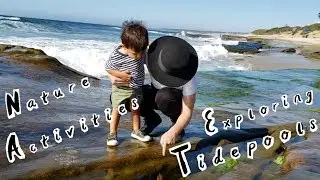Nature activity ideas with kids that calm and develop the mind: Exploring Tide Pools