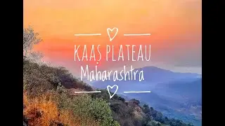 Kaas Plateau. Unesco world heritage site. Maharashtra.