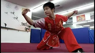 Eric Li Martial Arts Demo Reel