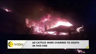 India: Massive fire breaks out at Savni village of Uttarkashi