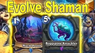 This Evolve Shaman Deck Will Make Your Day Better At March of the Lich King | Hearthstone