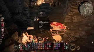 BG3 - High Elf Rogue. Companion sacrifice run. Time to fight Grym!