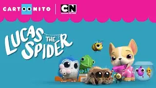 Lucas the Spider &ndash; Opening Song