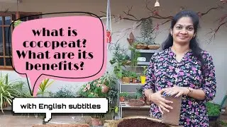 కోకోపీట్ అంటే ఏమిటి?దాని ఉపయోగాలు ఏమిటి??What is cocopeat?What are it's benefits??