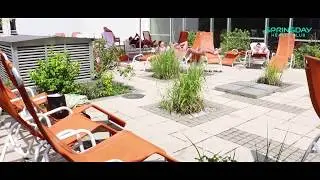 Springday Health Club - Wellness