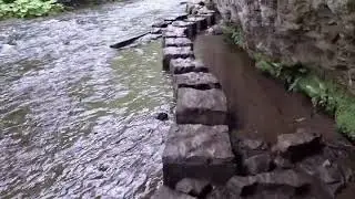 Chee Dale stepping stones hidden cash