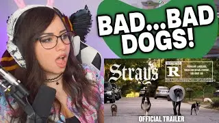 Strays | Official Trailer | Bunnymon REACTS