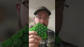 turtle coasters #3dprinting #bambulab #pixeltoprototype #tpu #petg #coaster