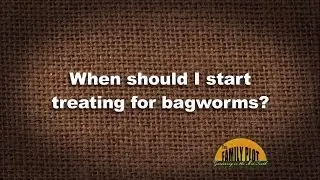 Q&A - When should I start treating for bagworms?
