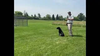Running With A Check Cord
