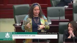 Dr. Elmeligi's first amendment to Bill 7, Water Amendment Act