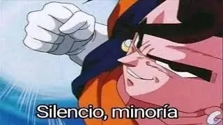 Silecio, Minor&iacute;a | Memes #8