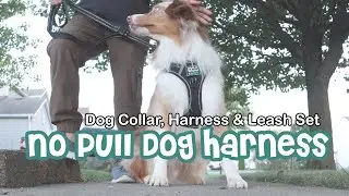 No Pull Harness for Dog Collar, Harness & Leash Set, Rywell